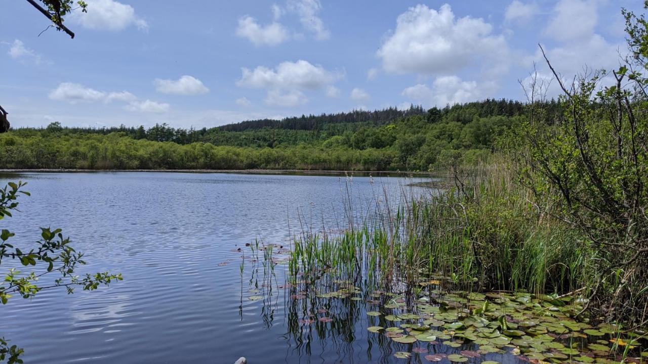 No7 Glan Nodwydd Villa Pentraeth Exteriör bild